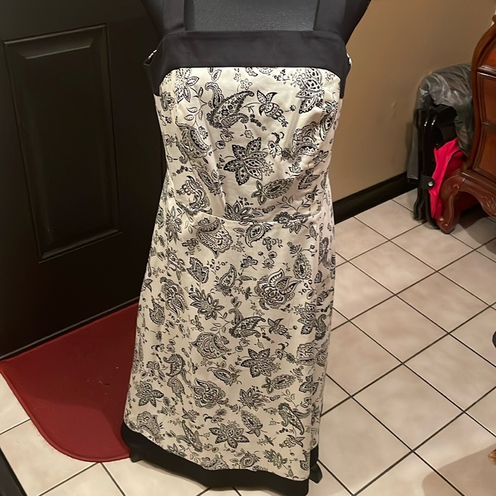 Macys Madison Leigh Black and Cream Dress
